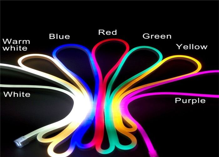24V 14W 5mm PCB  360 Degree 72PCS SMD3838 Led Neon Tape